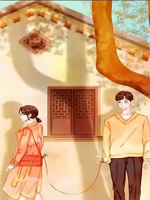 契约婚姻总裁的秘密新娘小说